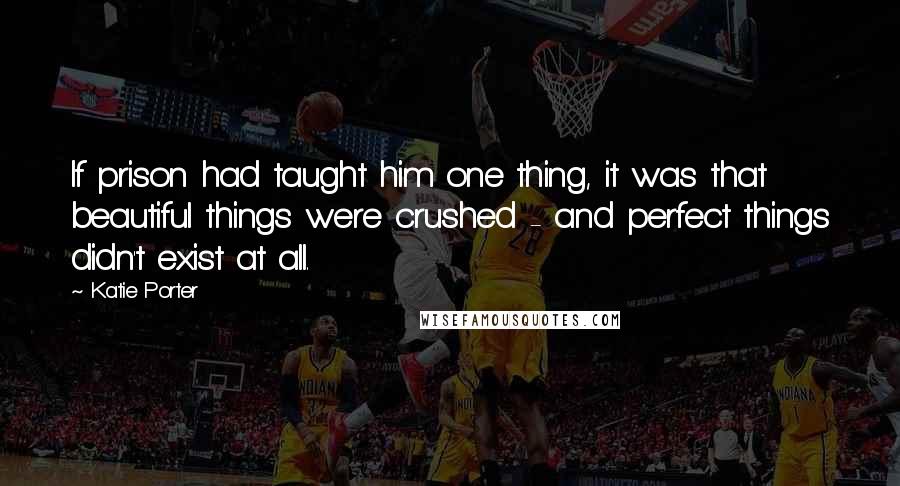 Katie Porter Quotes: If prison had taught him one thing, it was that beautiful things were crushed - and perfect things didn't exist at all.