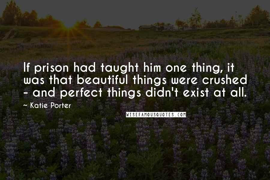 Katie Porter Quotes: If prison had taught him one thing, it was that beautiful things were crushed - and perfect things didn't exist at all.