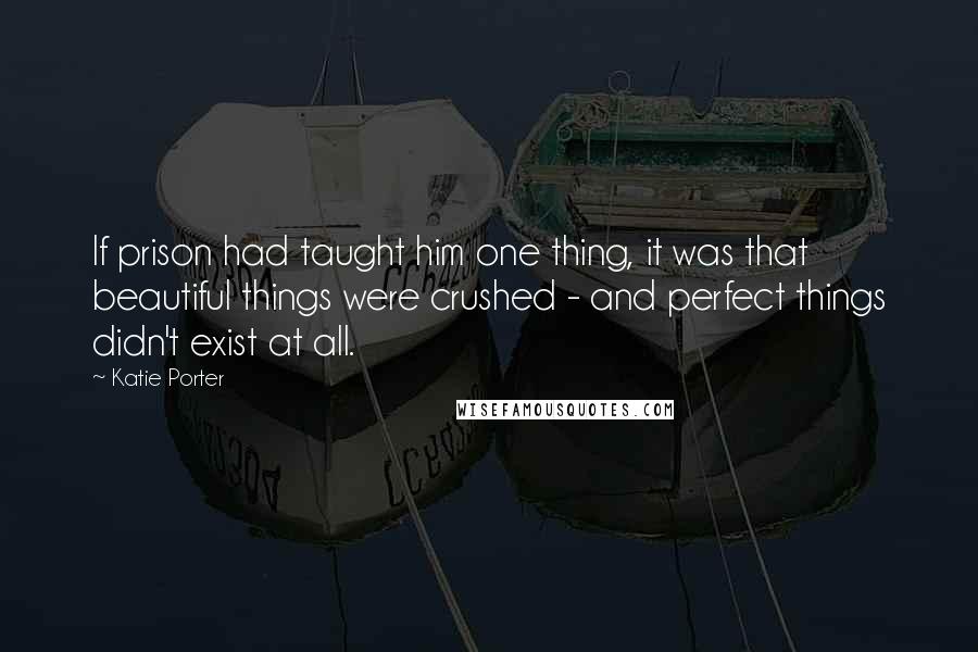 Katie Porter Quotes: If prison had taught him one thing, it was that beautiful things were crushed - and perfect things didn't exist at all.