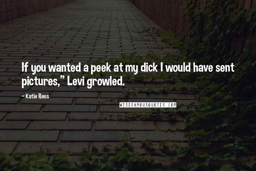 Katie Reus Quotes: If you wanted a peek at my dick I would have sent pictures," Levi growled.