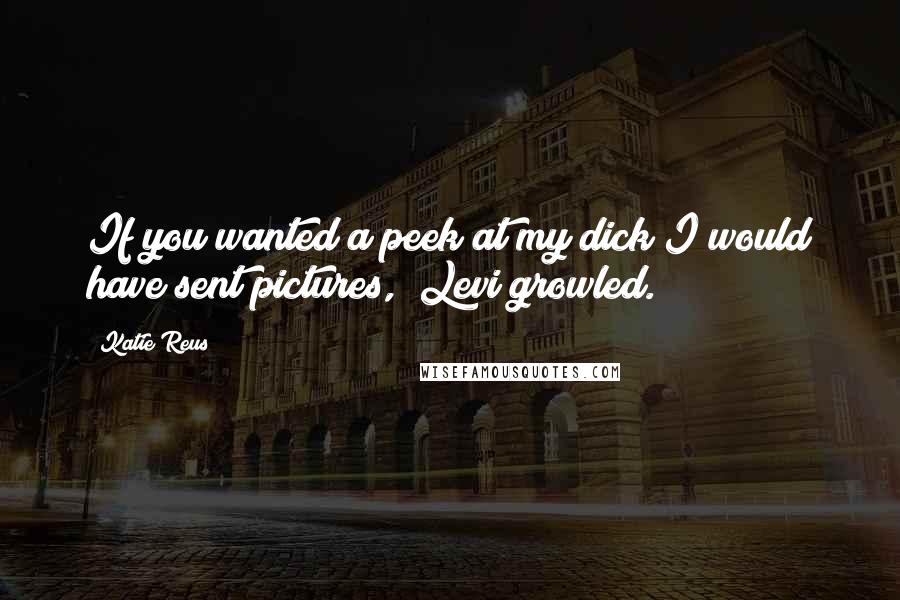 Katie Reus Quotes: If you wanted a peek at my dick I would have sent pictures," Levi growled.