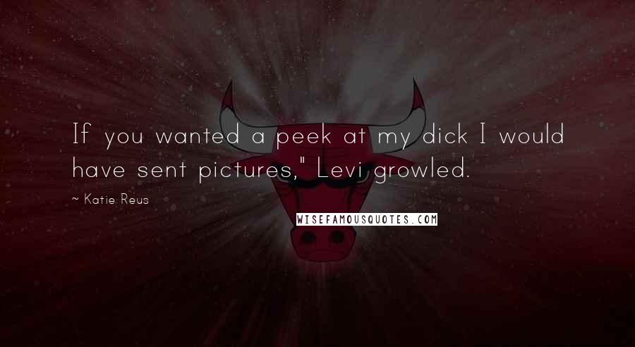 Katie Reus Quotes: If you wanted a peek at my dick I would have sent pictures," Levi growled.