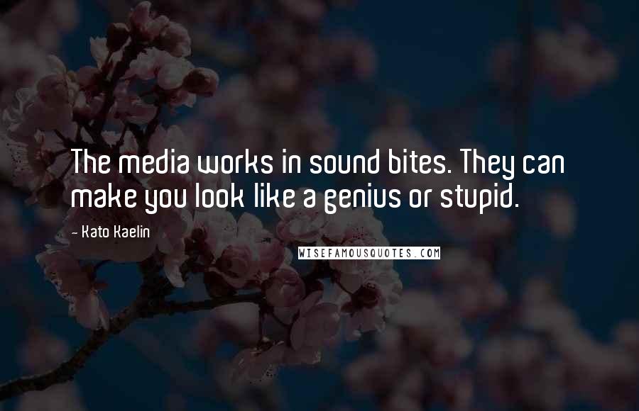 Kato Kaelin Quotes: The media works in sound bites. They can make you look like a genius or stupid.