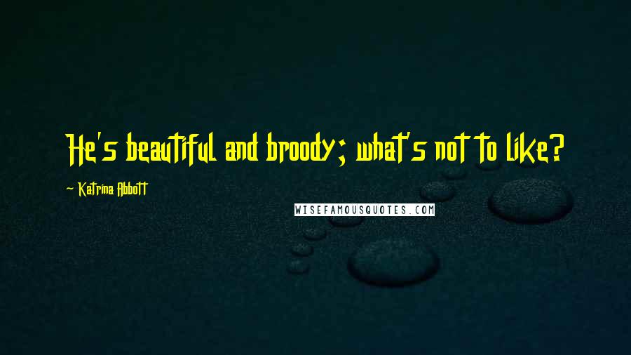Katrina Abbott Quotes: He's beautiful and broody; what's not to like?