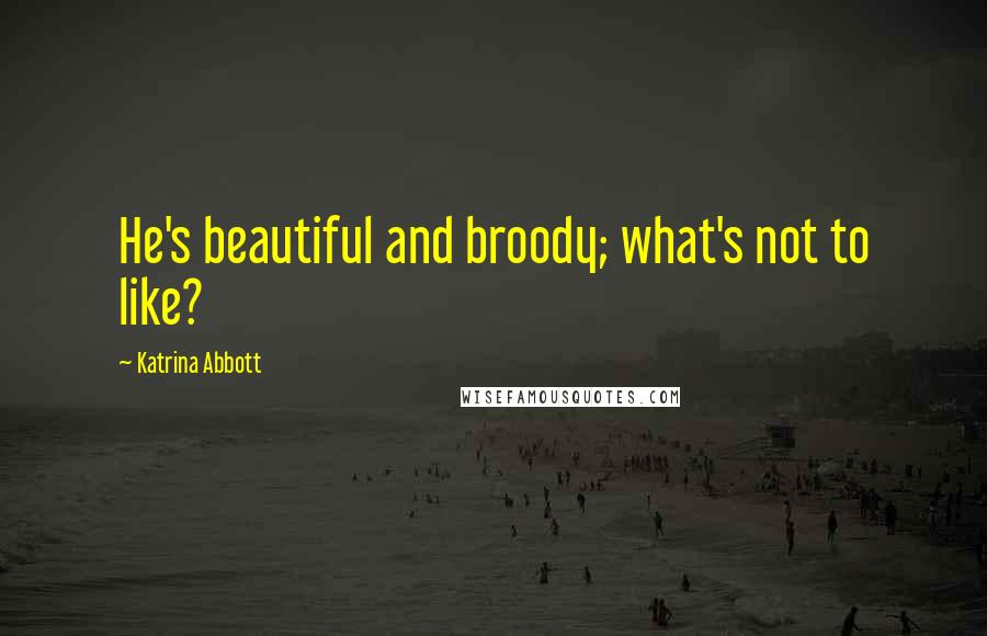 Katrina Abbott Quotes: He's beautiful and broody; what's not to like?