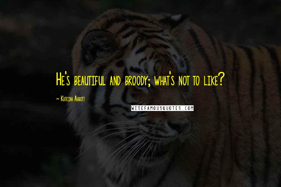 Katrina Abbott Quotes: He's beautiful and broody; what's not to like?