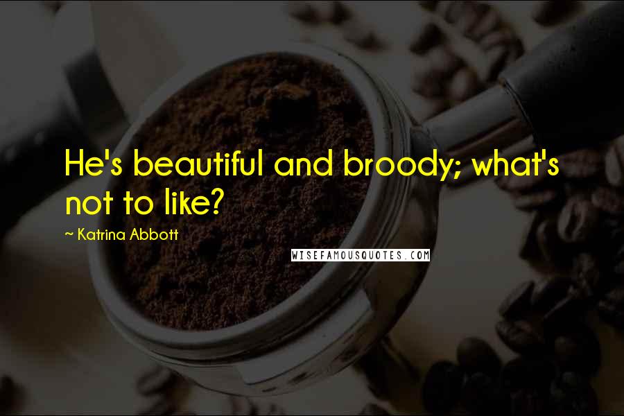 Katrina Abbott Quotes: He's beautiful and broody; what's not to like?