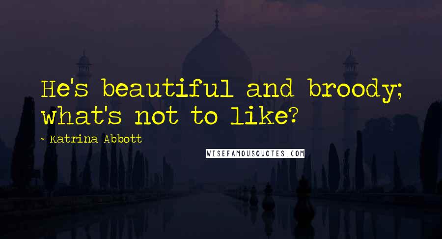 Katrina Abbott Quotes: He's beautiful and broody; what's not to like?