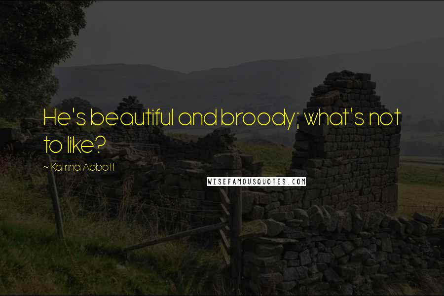 Katrina Abbott Quotes: He's beautiful and broody; what's not to like?