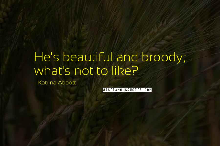 Katrina Abbott Quotes: He's beautiful and broody; what's not to like?