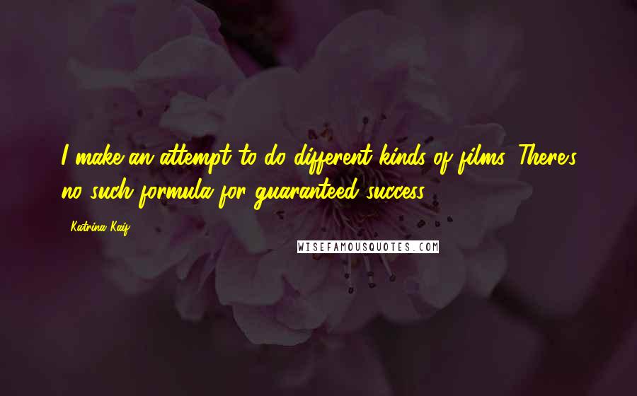 Katrina Kaif Quotes: I make an attempt to do different kinds of films. There's no such formula for guaranteed success.