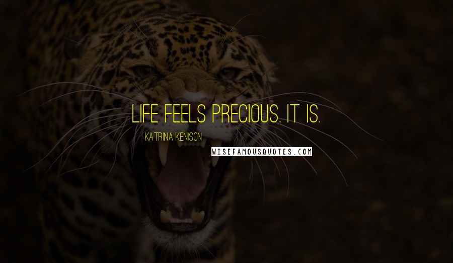 Katrina Kenison Quotes: Life feels precious. It is.