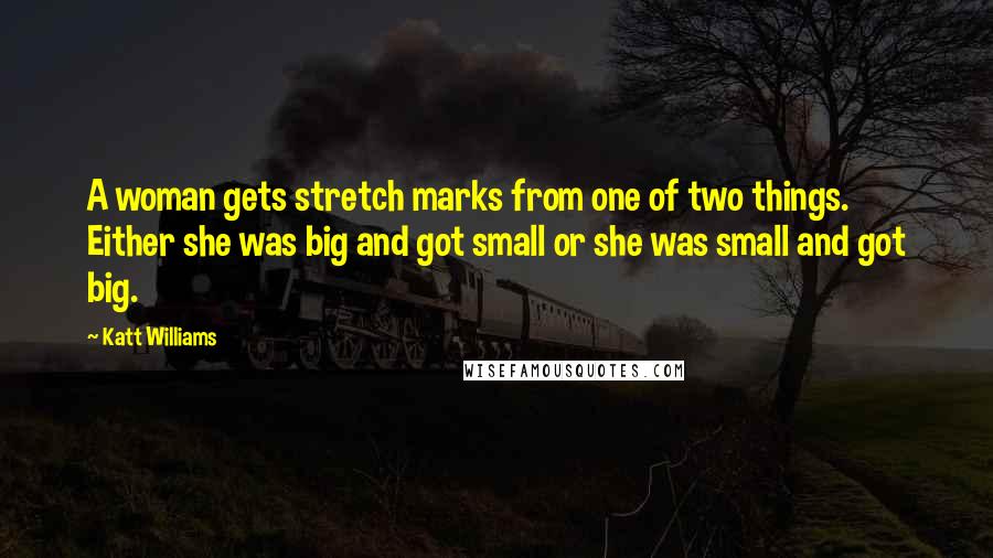 Katt Williams Quotes: A woman gets stretch marks from one of two things. Either she was big and got small or she was small and got big.