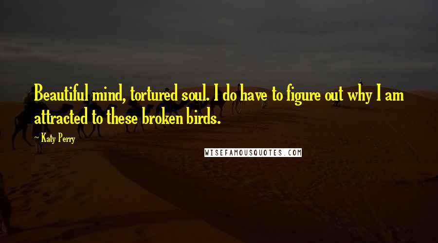 Katy Perry Quotes: Beautiful mind, tortured soul. I do have to figure out why I am attracted to these broken birds.