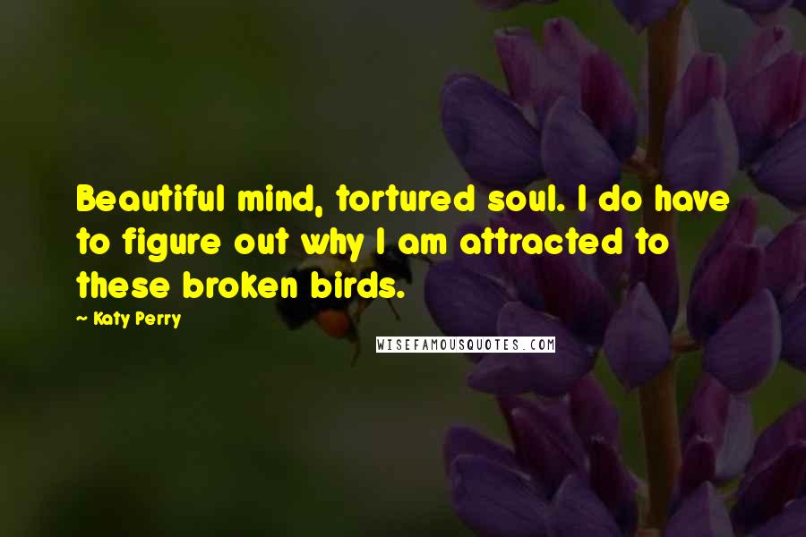 Katy Perry Quotes: Beautiful mind, tortured soul. I do have to figure out why I am attracted to these broken birds.