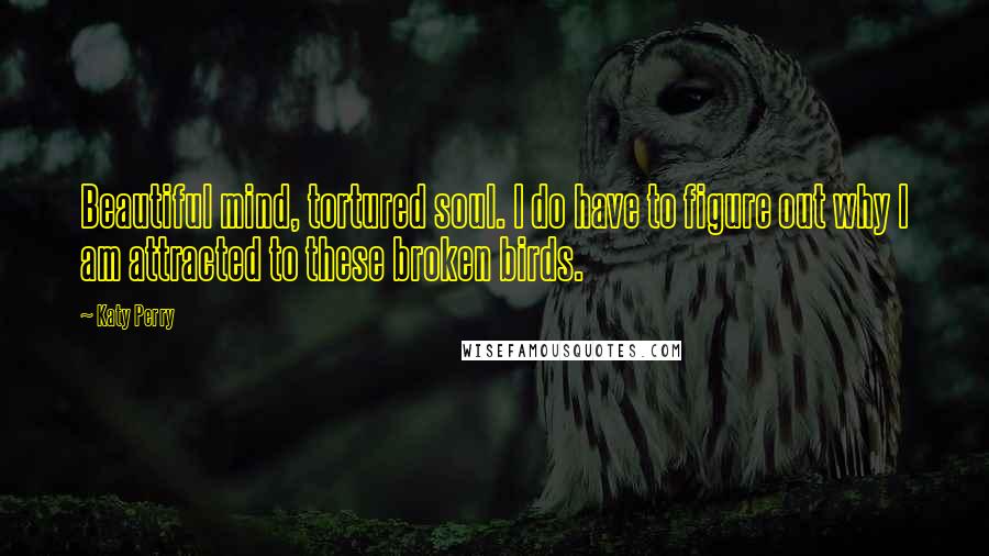 Katy Perry Quotes: Beautiful mind, tortured soul. I do have to figure out why I am attracted to these broken birds.