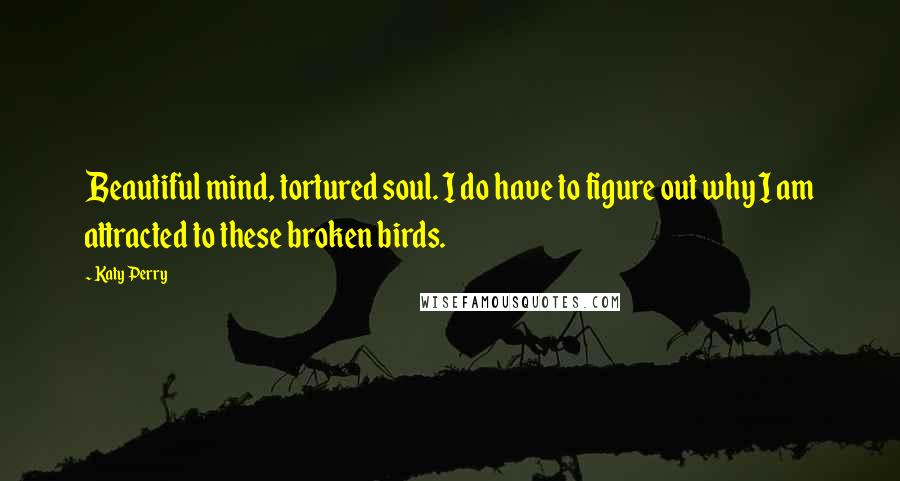 Katy Perry Quotes: Beautiful mind, tortured soul. I do have to figure out why I am attracted to these broken birds.