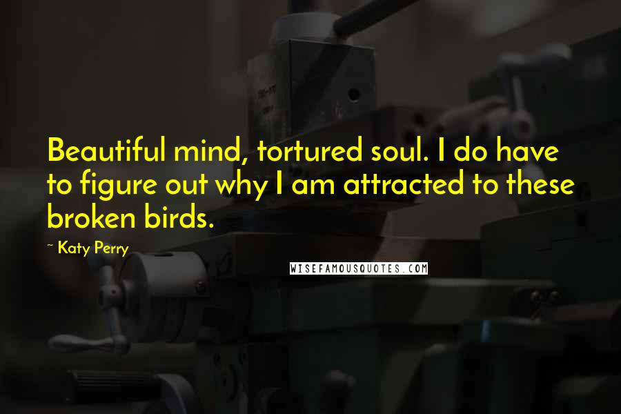 Katy Perry Quotes: Beautiful mind, tortured soul. I do have to figure out why I am attracted to these broken birds.