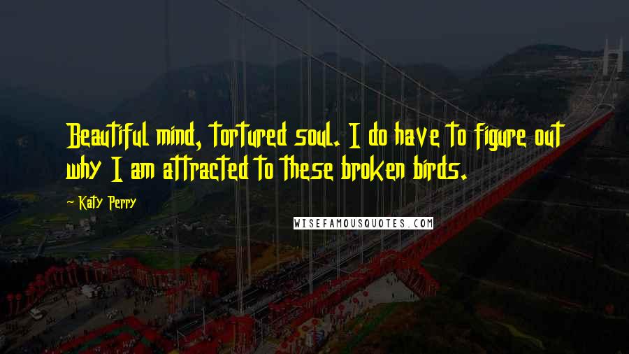 Katy Perry Quotes: Beautiful mind, tortured soul. I do have to figure out why I am attracted to these broken birds.