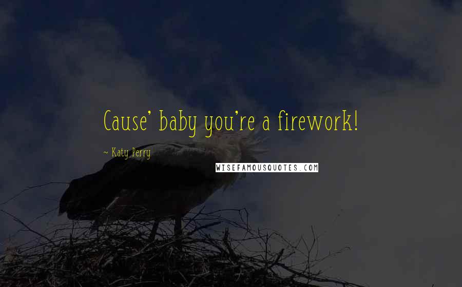 Katy Perry Quotes: Cause' baby you're a firework!
