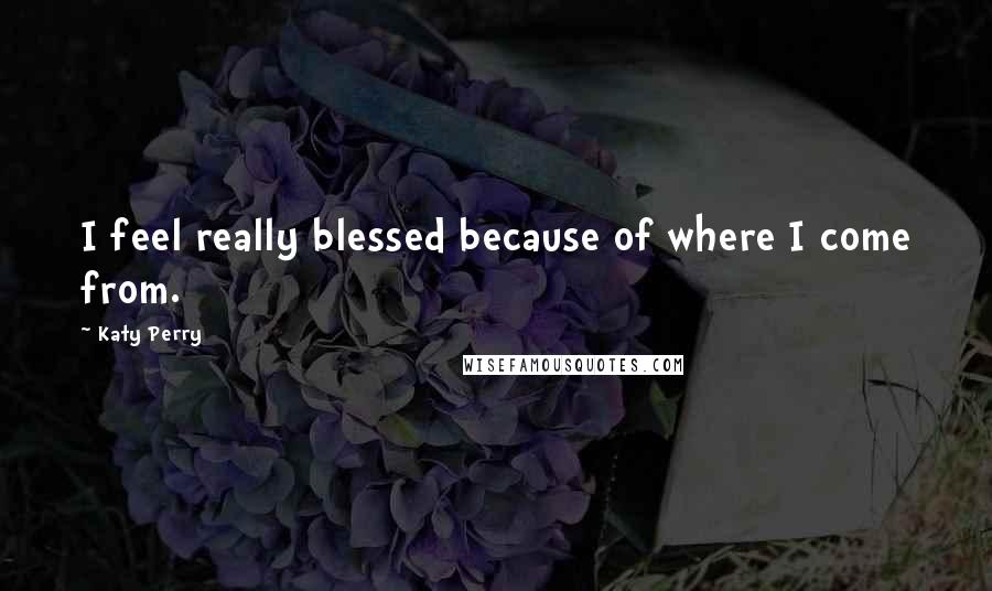 Katy Perry Quotes: I feel really blessed because of where I come from.