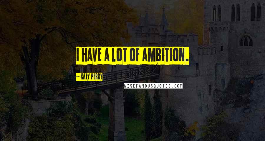 Katy Perry Quotes: I have a lot of ambition.