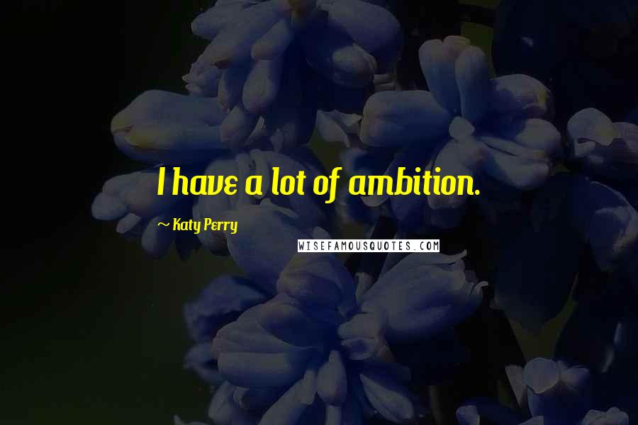 Katy Perry Quotes: I have a lot of ambition.