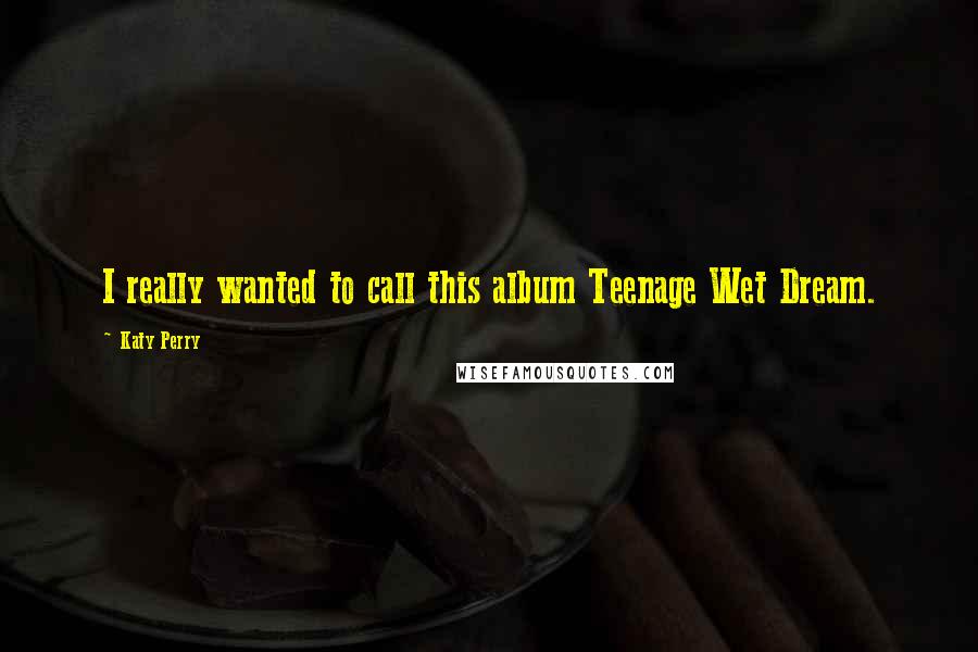 Katy Perry Quotes: I really wanted to call this album Teenage Wet Dream.