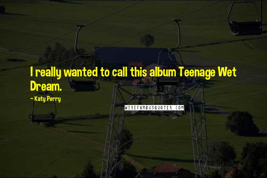 Katy Perry Quotes: I really wanted to call this album Teenage Wet Dream.
