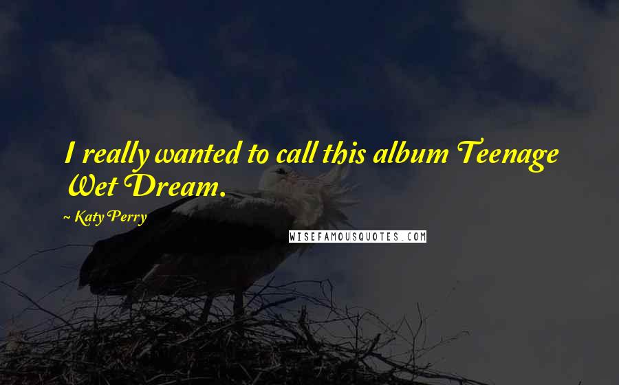 Katy Perry Quotes: I really wanted to call this album Teenage Wet Dream.