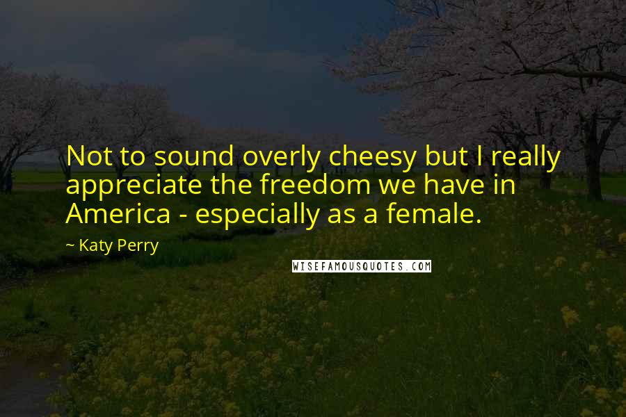 Katy Perry Quotes: Not to sound overly cheesy but I really appreciate the freedom we have in America - especially as a female.