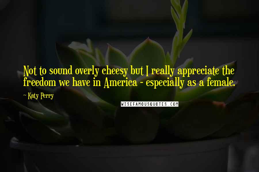 Katy Perry Quotes: Not to sound overly cheesy but I really appreciate the freedom we have in America - especially as a female.