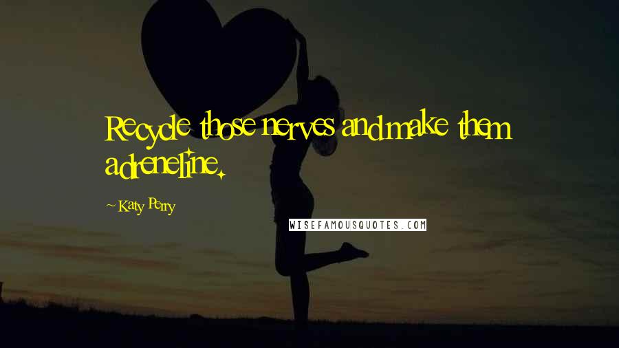 Katy Perry Quotes: Recycle those nerves and make them adreneline.