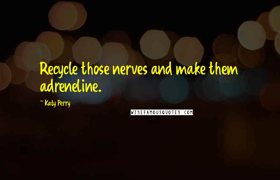 Katy Perry Quotes: Recycle those nerves and make them adreneline.