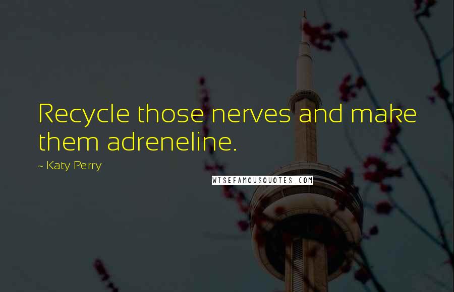 Katy Perry Quotes: Recycle those nerves and make them adreneline.