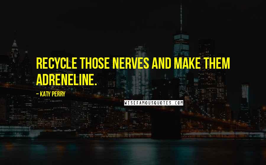 Katy Perry Quotes: Recycle those nerves and make them adreneline.