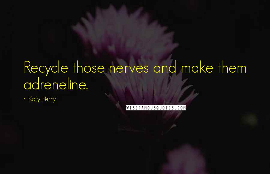 Katy Perry Quotes: Recycle those nerves and make them adreneline.