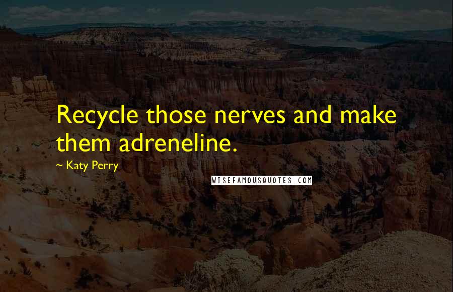 Katy Perry Quotes: Recycle those nerves and make them adreneline.