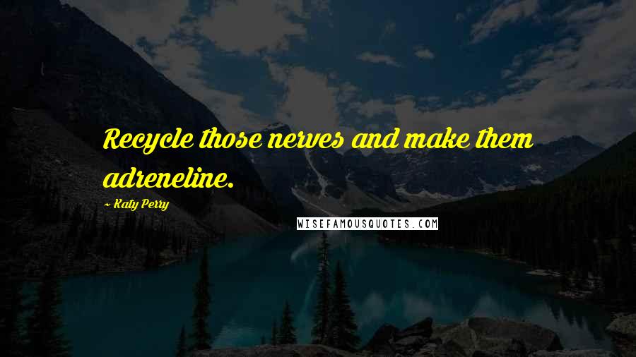 Katy Perry Quotes: Recycle those nerves and make them adreneline.