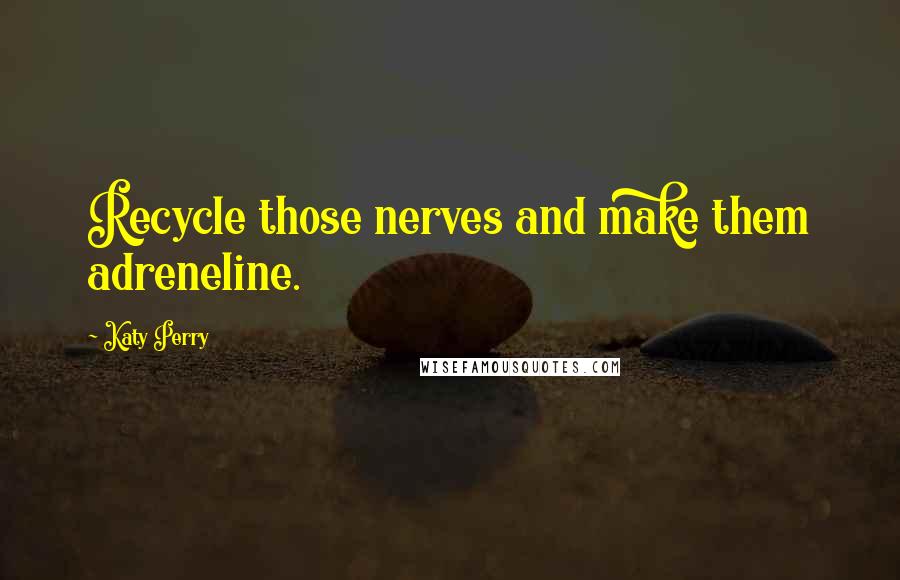 Katy Perry Quotes: Recycle those nerves and make them adreneline.