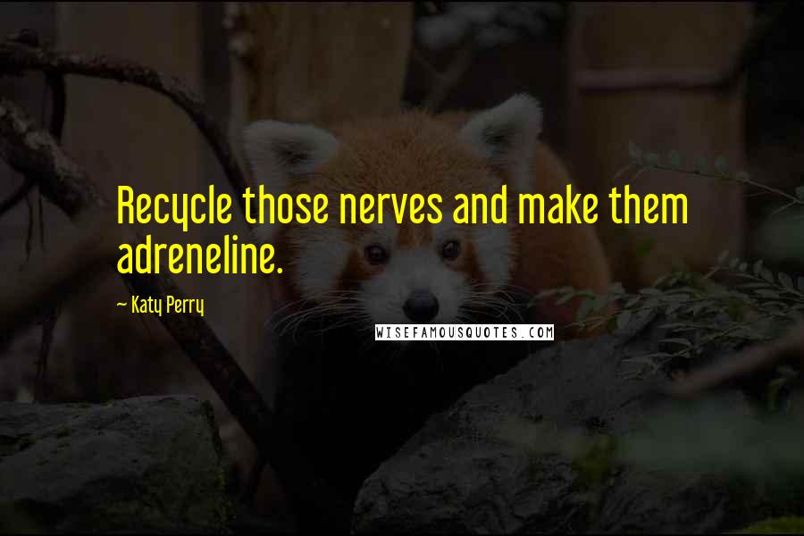 Katy Perry Quotes: Recycle those nerves and make them adreneline.