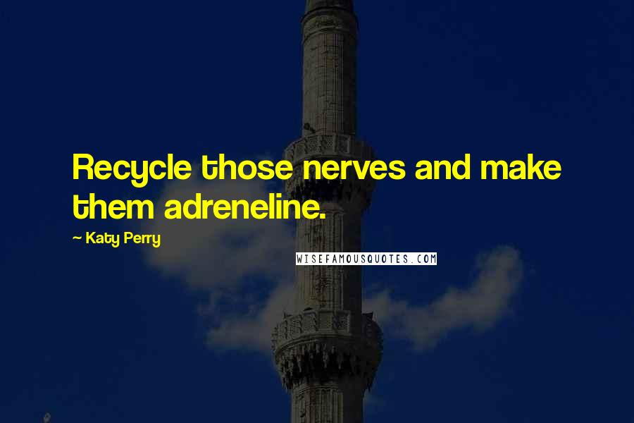 Katy Perry Quotes: Recycle those nerves and make them adreneline.