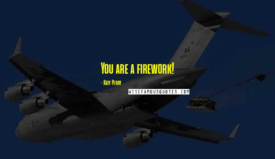 Katy Perry Quotes: You are a firework!