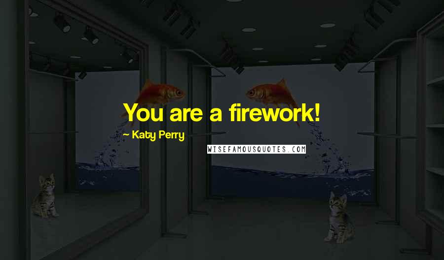 Katy Perry Quotes: You are a firework!