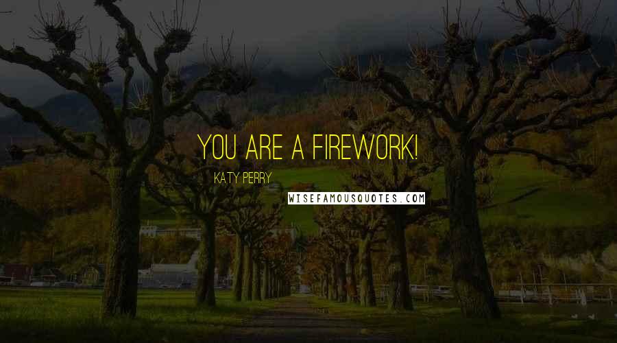 Katy Perry Quotes: You are a firework!