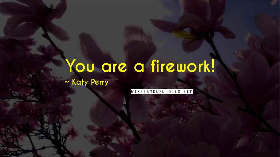 Katy Perry Quotes: You are a firework!