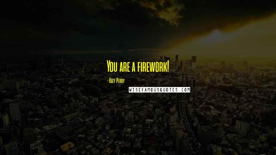 Katy Perry Quotes: You are a firework!