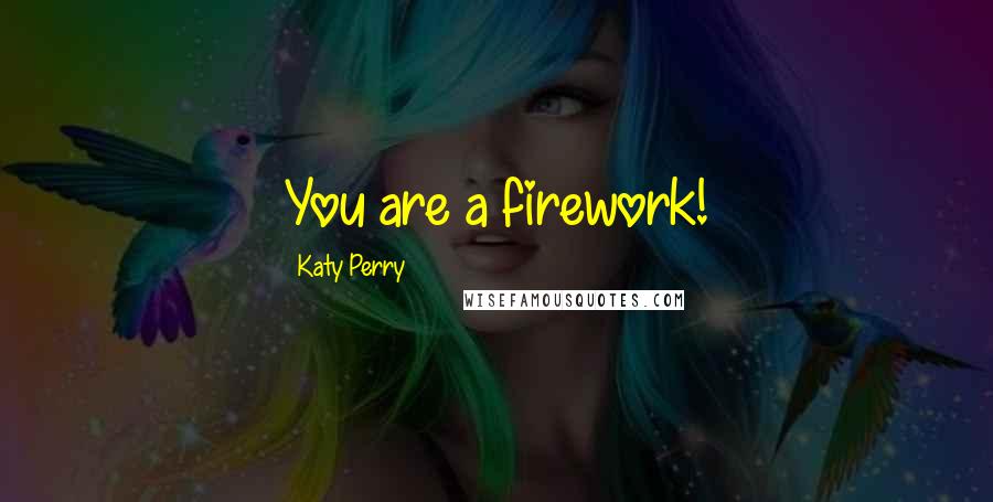 Katy Perry Quotes: You are a firework!