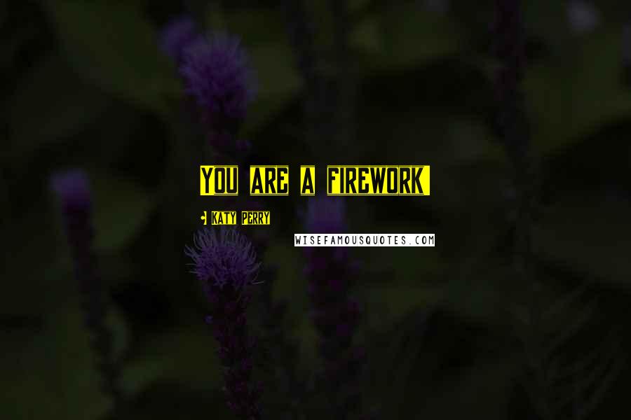 Katy Perry Quotes: You are a firework!