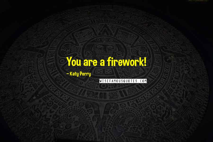 Katy Perry Quotes: You are a firework!